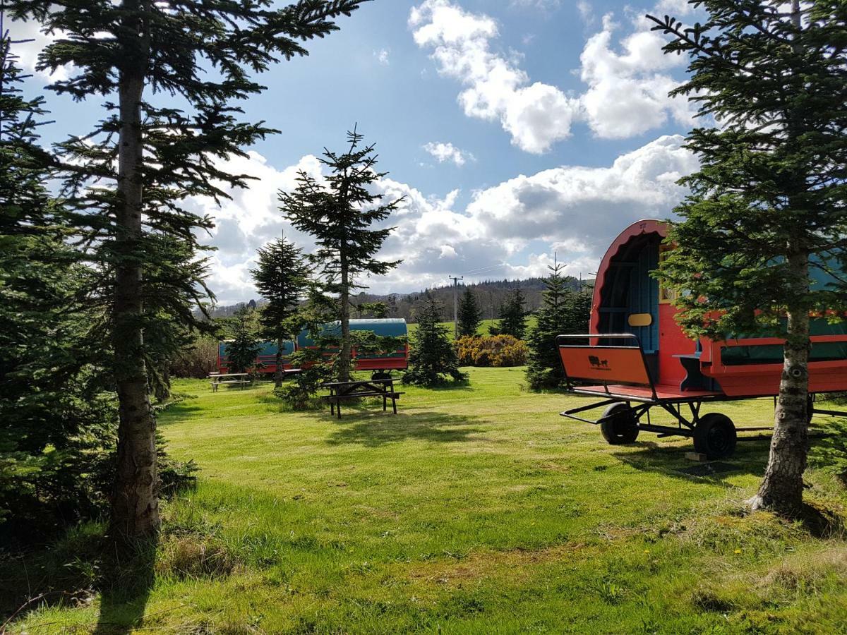 Clissmann Horse Caravans Glamping راثدروم المظهر الخارجي الصورة