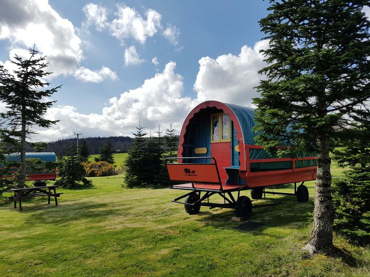 Clissmann Horse Caravans Glamping راثدروم المظهر الخارجي الصورة