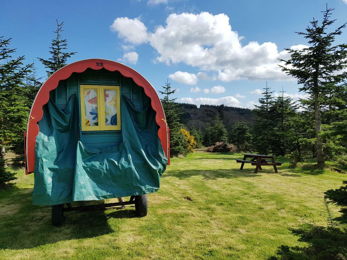 Clissmann Horse Caravans Glamping راثدروم المظهر الخارجي الصورة