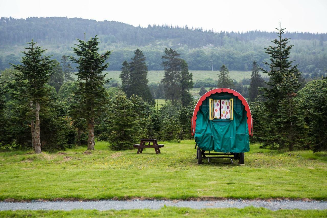 Clissmann Horse Caravans Glamping راثدروم المظهر الخارجي الصورة